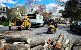 Best Arborist Consultation Services  in Toast, NC